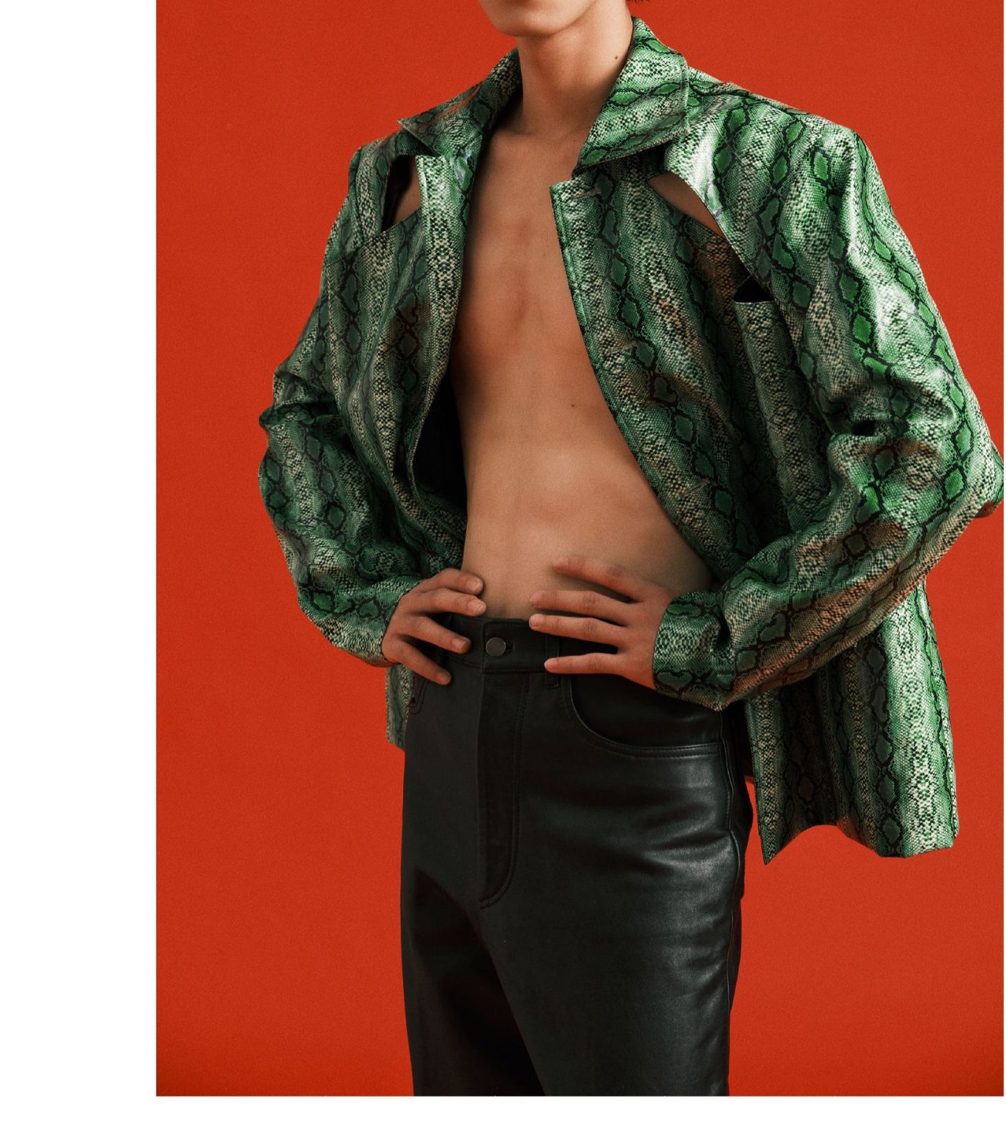 Python pattern hollow coat